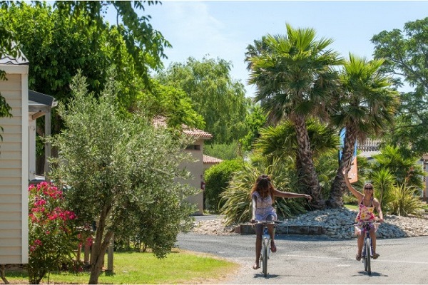 /campings/francia/languedoc-rosellon/pirineos-orientales/Le Neptune/camping-le-neptune-1482404905-xl.jpg